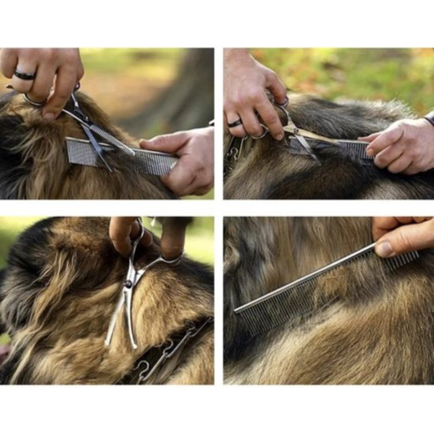 Purlov Professionele Hondenschaar Set - Complete Trimset voor Huisdieren