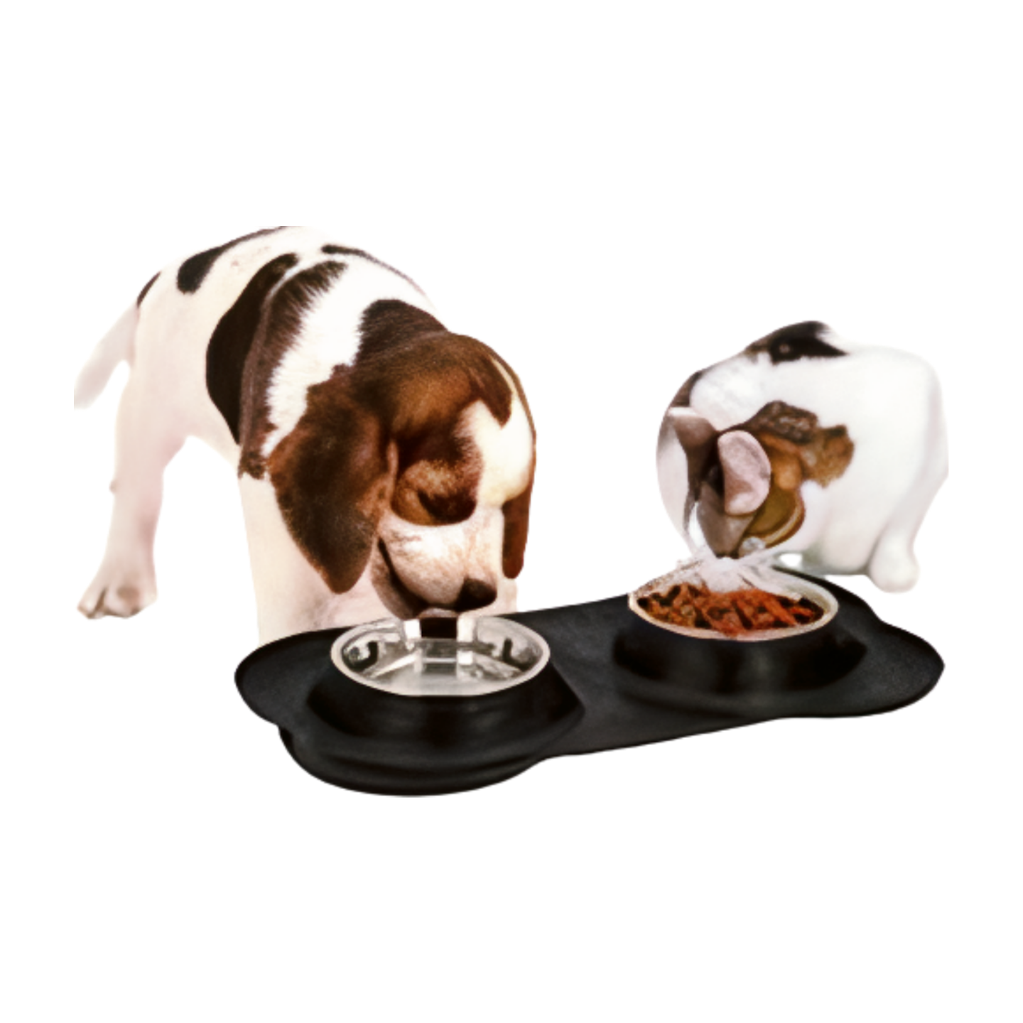 Voerbakken voor huisdier met onderlegger