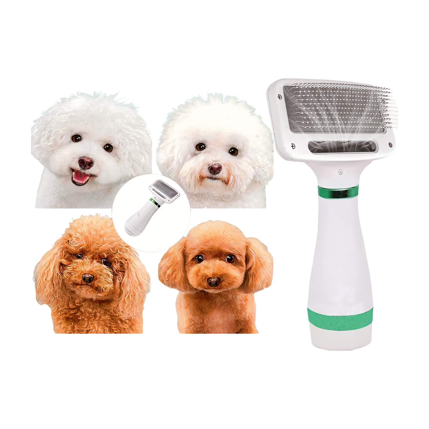 Borstel en droger voor honden en katten